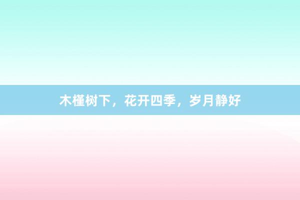 木槿树下，花开四季，岁月静好